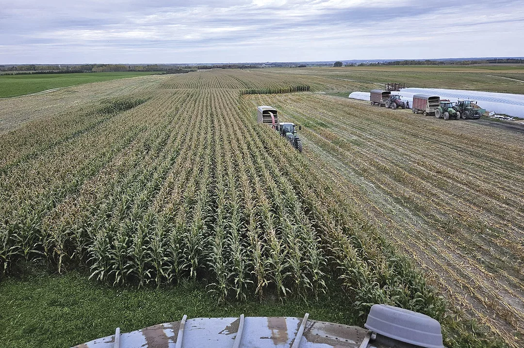 62866-williams-Harvesting-Corn.jpg