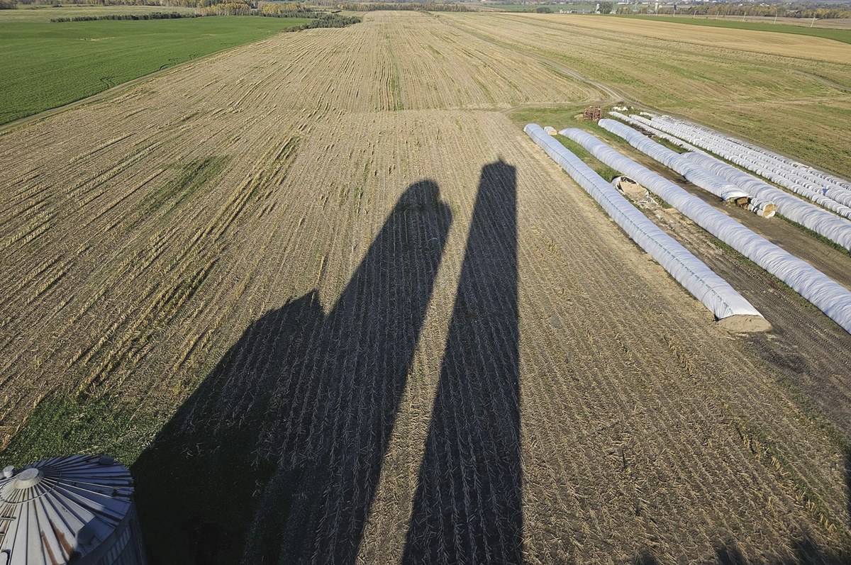 62866-williams-Shadows.jpg