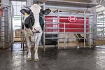 62871-vogel-Lely-IT-A5-next-II.jpg