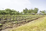 62879-lee-Finca-Neo-Jibairo.jpg