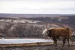 62880-marchant-20240229-Smokehouse-Creek.jpg