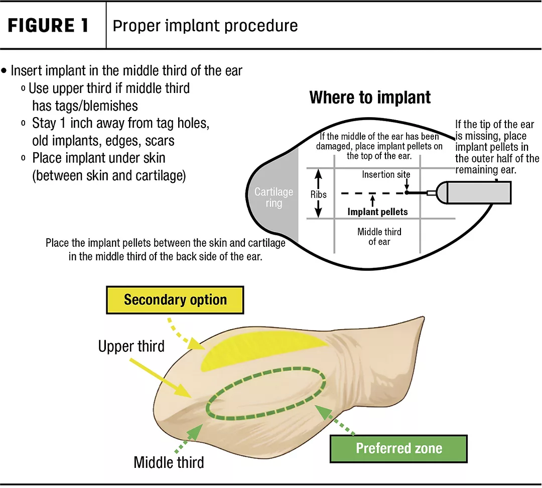 62912-copper-figure1.jpg