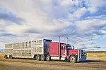 62941-louder-truck-getty.jpg