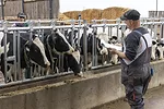62925-doornink-dixon.jpg