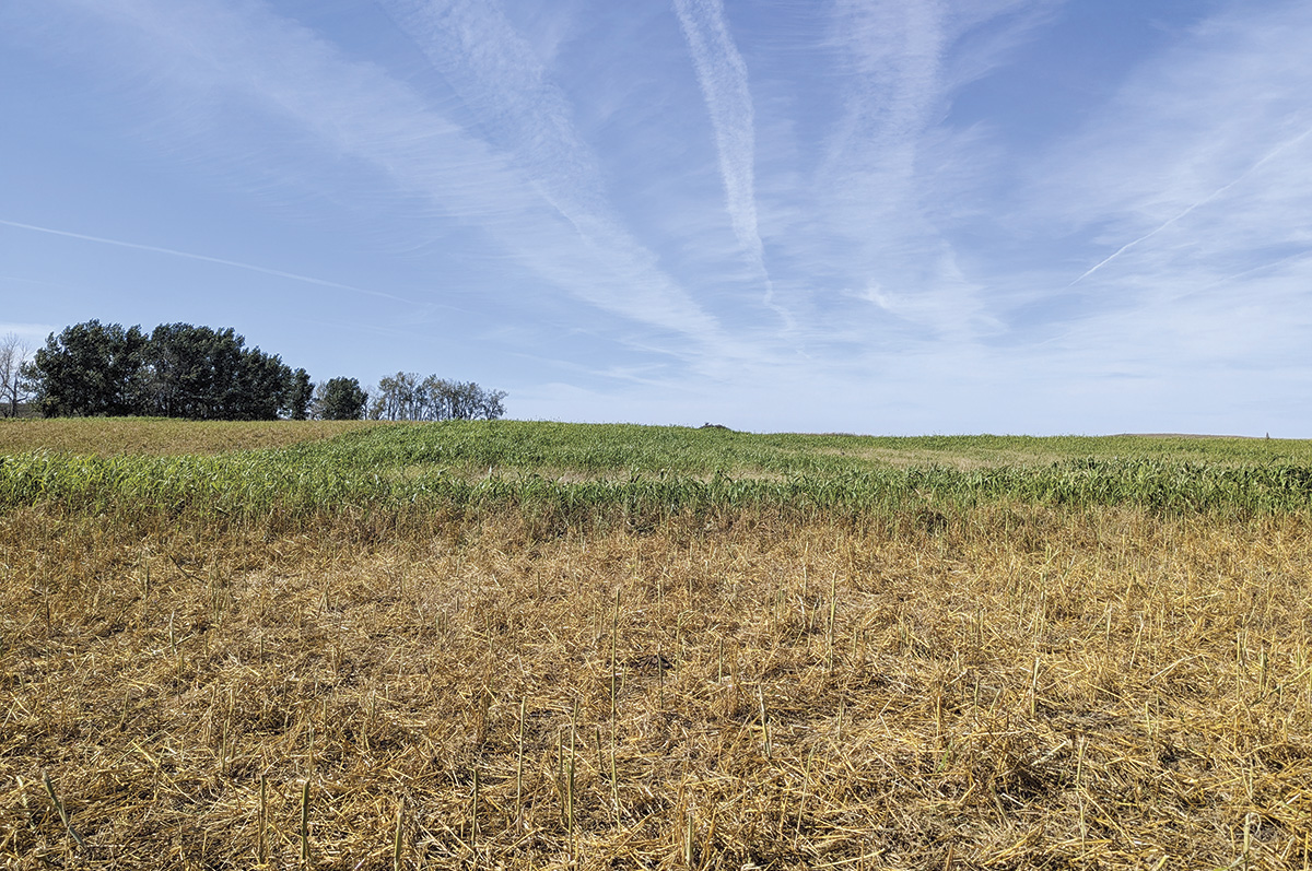 62948-meehan-boundary.jpg