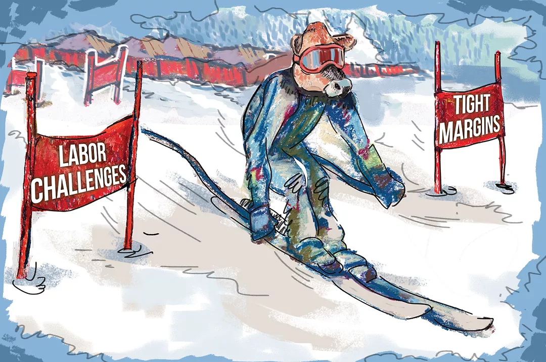 62963-devaney-jersey-cow-skiing.coreylewis.jpg