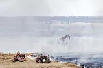 63015-tarpoff-2910.jpg