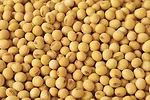 62986-sawall-soybeans.jpg