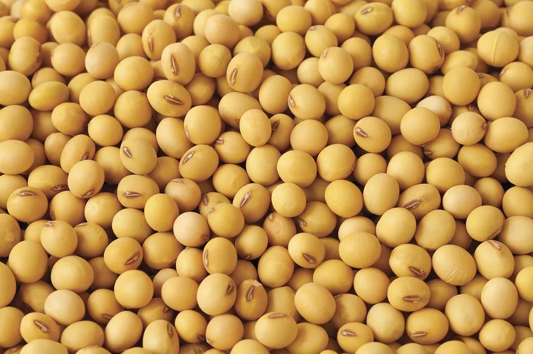 62986-sawall-soybeans.jpg