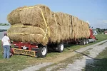 63017-blezinger-trucking.jpg