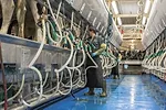 63021-lecavalier-staff.jpg