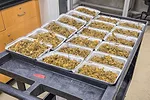 63033-byproduct-1.jpg