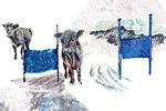 62926-state-of-dairy-2.jpg