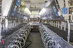 63112-fiene-dixon.jpg