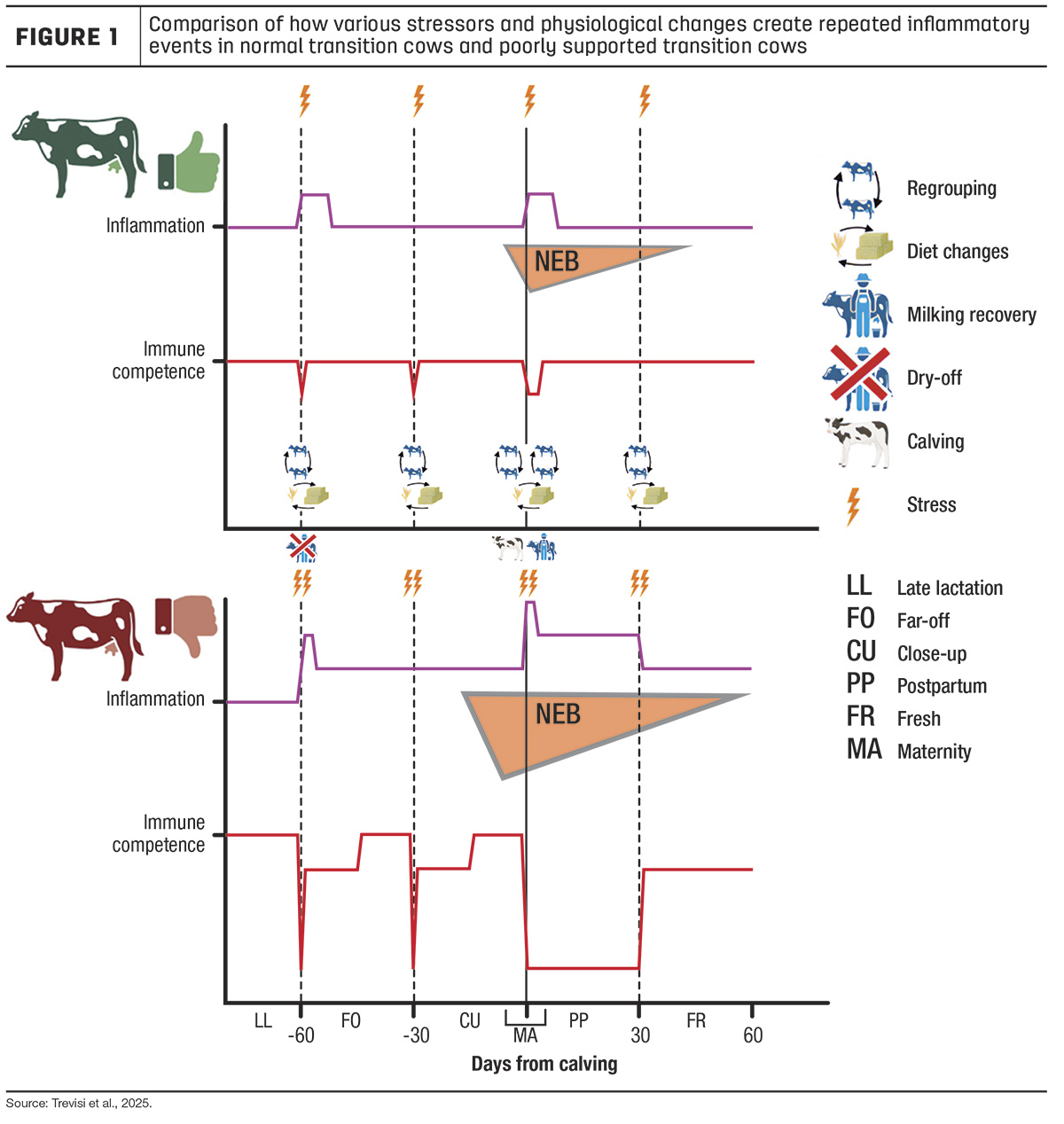 63150-Culbertson-fig1.jpg