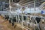 63171-veeneman-1.jpg