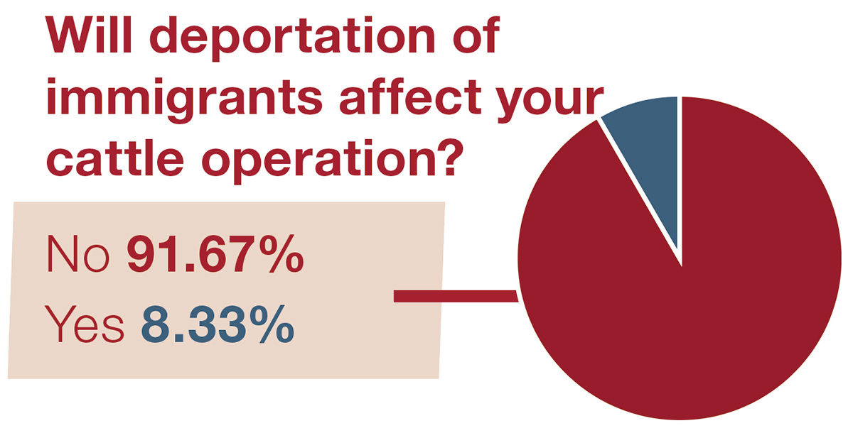 63196-polls-deportation.jpg