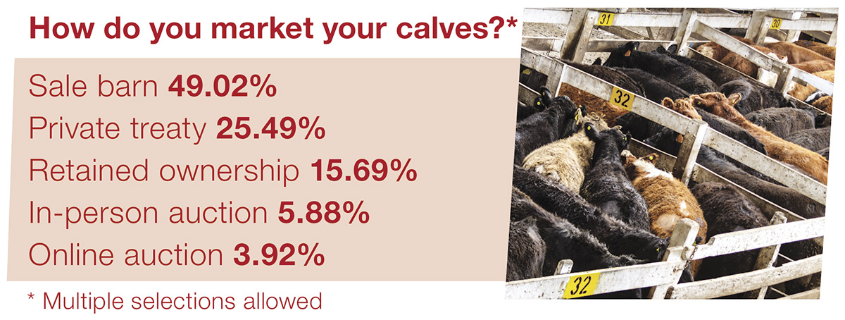63196-polls-market.jpg
