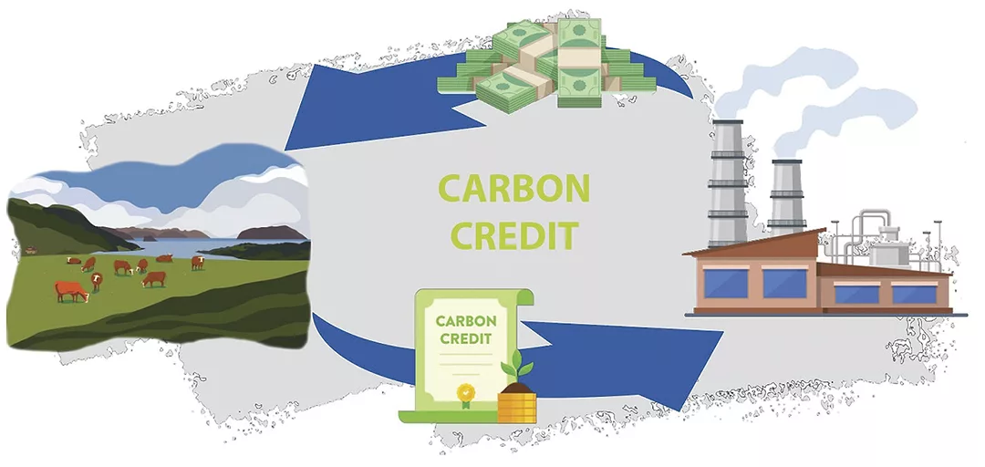 63167-whitaker-carbon-credits.jpg