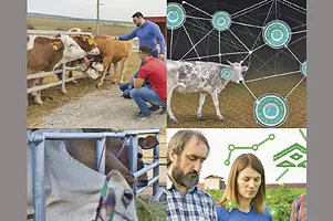 63208-kern-lunbery-collage.jpg