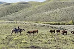 63241-mcCarthy-Jensen-2.jpg