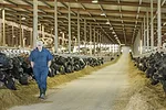 63311-jacobs-Bell-PW051618-5.jpg