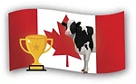 63323-mcbride-canada-flag.jpg