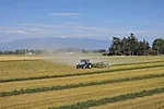 63367-vanderkooy-img_2041.jpg