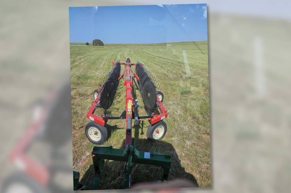 63356-thomas-raking-hay.jpg