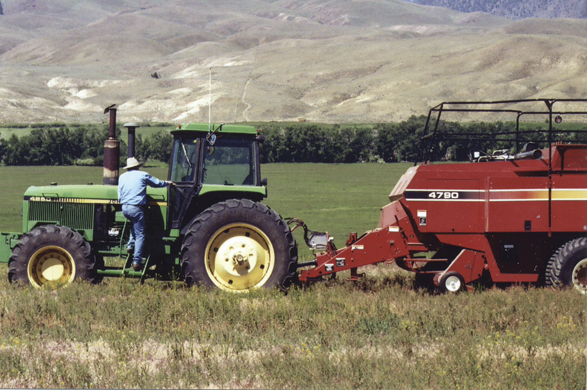 63356-thomas-square-bales.jpg