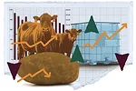 63379-steel-markets.jpg