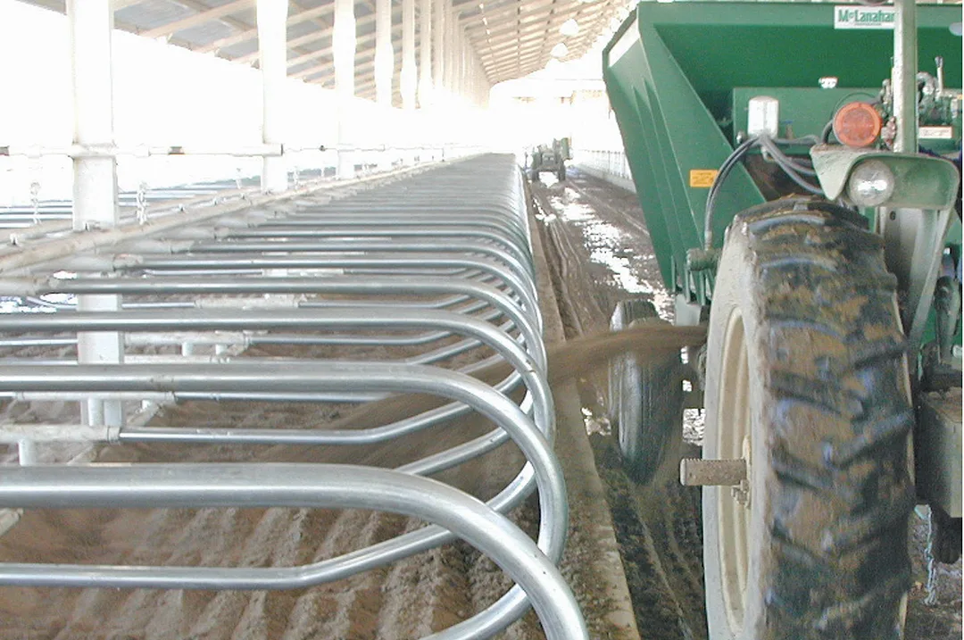 63455-schrift-MCLF-Sand-in-freestalls.jpg