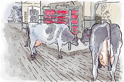 63456-proctor-illustration.coreylewis.jpg