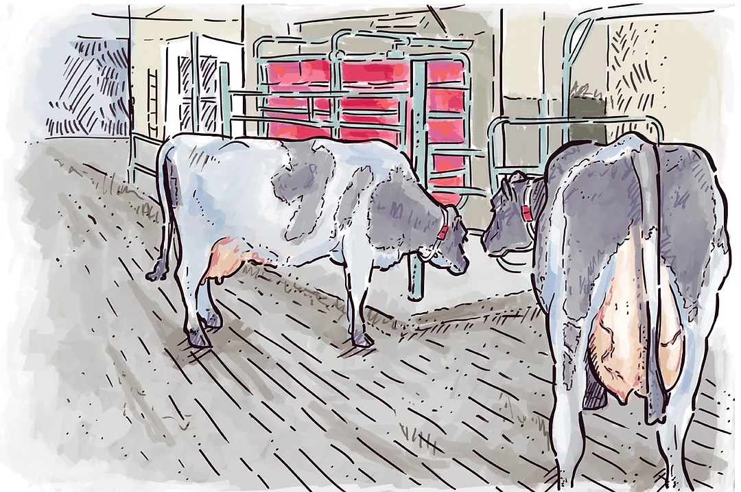 63456-proctor-illustration.coreylewis.jpg