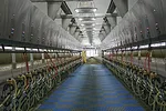 63067-bacigalupo-staff.jpg
