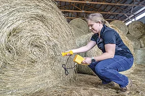 63520-clements-forage-test.jpg