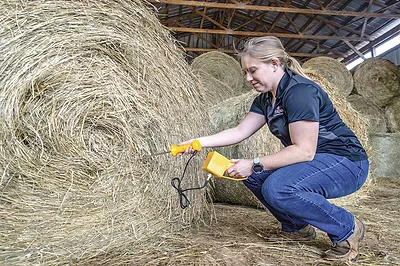 63520-clements-forage-test.jpg