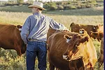 63541-thomas-Ressler-Red-Legend-Cattle-2.jpg