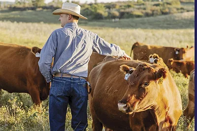 63541-thomas-Ressler-Red-Legend-Cattle-2.jpg