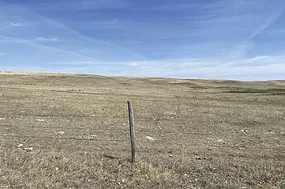 63558-meehan-McHenry_Pasture_D4.jpg