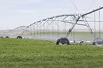 63574-wilder-dixon.jpg