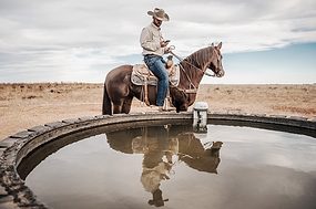 63581-coppin-ranchbot.jpg
