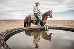 63581-coppin-ranchbot.jpg
