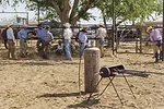 63591-striegel-dixon.jpg
