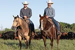 63578-beaumont-richards-ranch-4.jpg