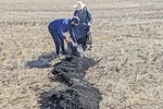 63610-mccarthy-Shrestha-biochar.jpg