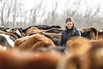 63650-schmitz-caitlin-grazing.jpg