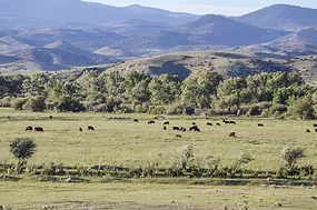63654-ranches-9941.jpg 63654-ranches-9941.jpg