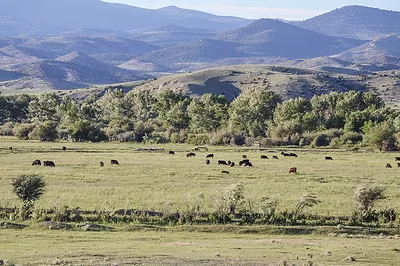 63654-ranches-9941.jpg