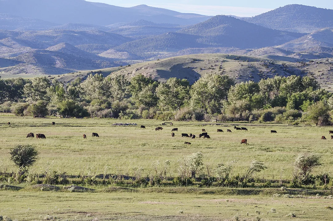 63654-ranches-9941.jpg